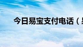 今日易宝支付电话（易宝支付怎么样）