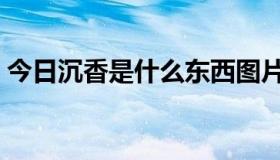 今日沉香是什么东西图片（沉香是什么东西）