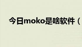 今日moko是啥软件（MOKO是什么啊）