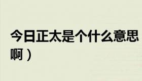 今日正太是个什么意思（“正太”是什么意思啊）