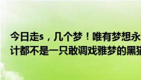 今日走s，几个梦！唯有梦想永存！给我所有的梦，s！难道计都不是一只敢调戏雅梦的黑猫吗？我看过很多计都梦。