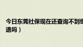 今日东莞社保现在还查询不到缴费记录（东莞社保现在还能退吗）