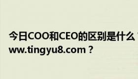 今日COO和CEO的区别是什么？首席运营官是做什么的，www.tingyu8.com？