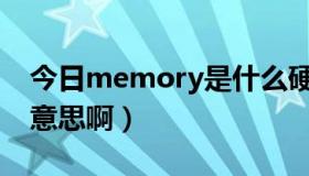 今日memory是什么硬件（Memory是什么意思啊）