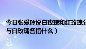 今日张爱玲说白玫瑰和红玫瑰分别指什么（张爱玲的红玫瑰与白玫瑰各指什么）