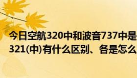 今日空航320中和波音737中是啥意思（波音737(中)与空客321(中)有什么区别、各是怎么回事 谢谢）