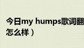 今日my humps歌词翻译（my hump这首歌怎么样）