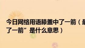 今日网络用语膝盖中了一箭（最近流行一句“直到我膝盖中了一箭”是什么意思）