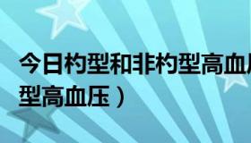 今日杓型和非杓型高血压（什么是勺型与非勺型高血压）