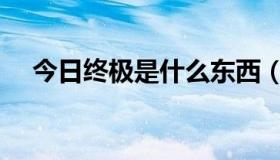 今日终极是什么东西（终极是什么意思）