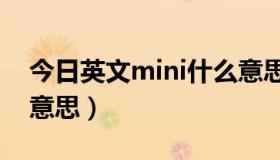 今日英文mini什么意思（mini tools是什么意思）