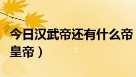 今日汉武帝还有什么帝（汉武帝之后还有哪些皇帝）