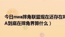 今日nwa摔角联盟现在还存在吗（请资深摔迷告诉我，NWA到底在摔角界算什么）