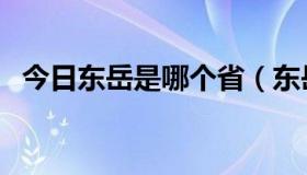 今日东岳是哪个省（东岳在什么山什么省）