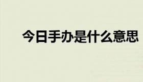 今日手办是什么意思（sb是什么意思）