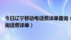 今日辽宁移动电话费详单查询（辽宁移动网上营业厅怎么查询话费详单）