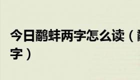 今日鹬蚌两字怎么读（鹬蚌，这二个字是什么字）