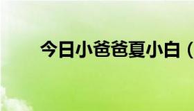 今日小爸爸夏小白（小爸爸的结局）