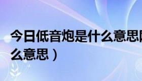 今日低音炮是什么意思网络用语（低音炮是什么意思）