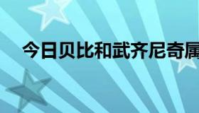 今日贝比和武齐尼奇属于同一条道路吗？