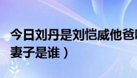 今日刘丹是刘恺威他爸吗（刘恺威父亲刘丹的妻子是谁）