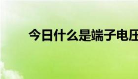 今日什么是端子电压（什么是端腹）