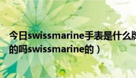 今日swissmarine手表是什么牌子（各位帮我看看这表是真的吗swissmarine的）