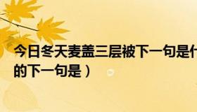 今日冬天麦盖三层被下一句是什么指什么（冬天麦盖三层被的下一句是）