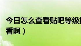 今日怎么查看贴吧等级排名（贴吧排名在哪里看啊）