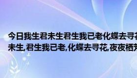 今日我生君未生君生我已老化蝶去寻花夜夜栖芳草是什么意思（我生君未生,君生我已老,化蝶去寻花,夜夜栖芳草是什么意思）