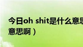 今日oh shit是什么意思啊（“Shit”是什么意思啊）