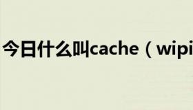 今日什么叫cache（wiping cache什么意思）