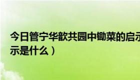 今日管宁华歆共园中锄菜的启示（管宁华歆共园中锄菜的启示是什么）