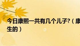 今日康熙一共有几个儿子?（康熙一共有几个儿子分别是谁生的）