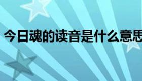 今日魂的读音是什么意思（魂的读音和组词）