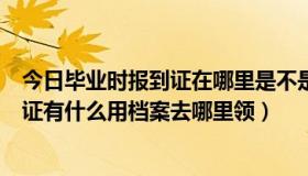 今日毕业时报到证在哪里是不是档案就在哪里（毕业生报到证有什么用档案去哪里领）