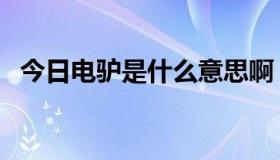 今日电驴是什么意思啊（电驴是什么做的）