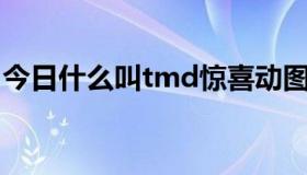 今日什么叫tmd惊喜动图（什么叫TMT行业）