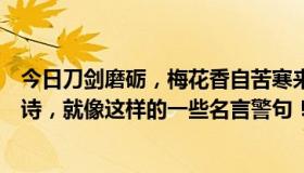 今日刀剑磨砺，梅花香自苦寒来。有哪些类似的句子？不写诗，就像这样的一些名言警句！