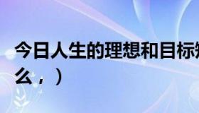 今日人生的理想和目标短语（人生的理想是什么，）