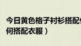 今日黄色格子衬衫搭配什么（黄色格子衬衫如何搭配衣服）