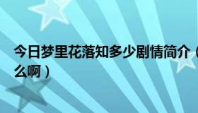 今日梦里花落知多少剧情简介（梦里花落知多少的结局是什么啊）