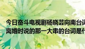 今日奋斗电视剧杨晓芸向南台词（”奋斗“里杨晓芸和向南离婚时说的那一大串的台词是什么）