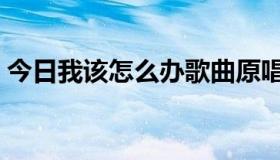 今日我该怎么办歌曲原唱（我该怎么办嫣妮）