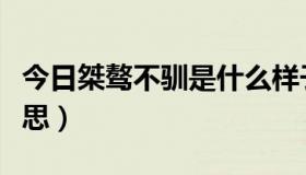 今日桀骜不驯是什么样子（桀骜不驯是什么意思）