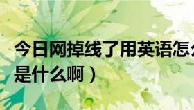 今日网掉线了用英语怎么说（网络掉线的英文是什么啊）