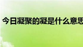 今日凝聚的凝是什么意思（凝成是什么意思）