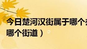 今日楚河汉街属于哪个办事处（楚河汉街属于哪个街道）