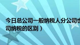 今日总公司一般纳税人分公司也是吗（企业总部纳税和分公司纳税的区别）