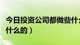 今日投资公司都做些什么（投资公司一般是做什么的）